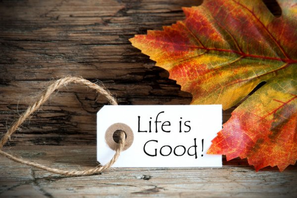 Read more about the article LIFE IS GOOD
