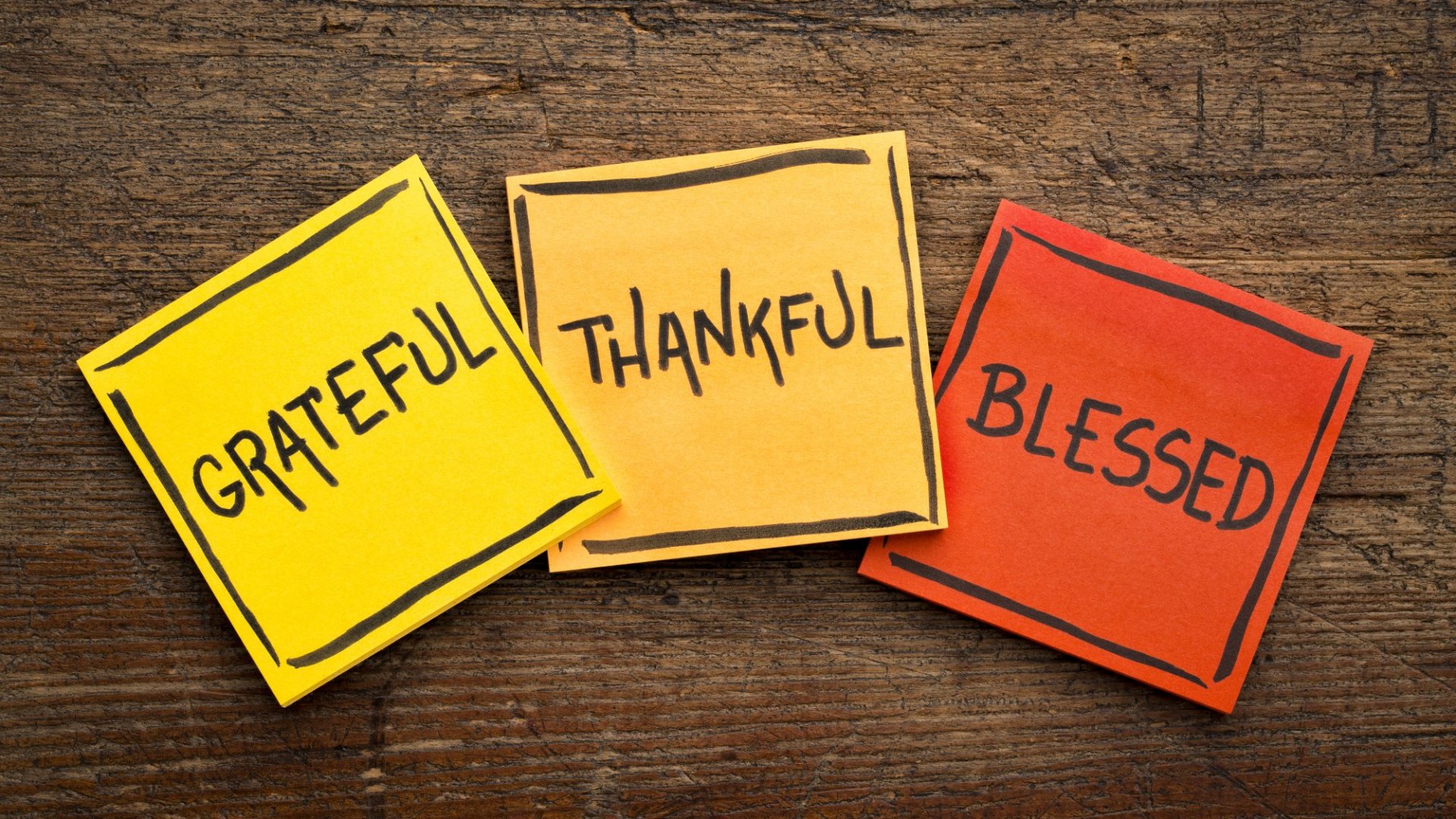 Read more about the article GRATITUDE